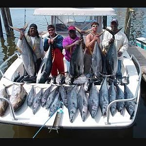 Tuna fishing Wahoo fishing dorado Fishing Charters Offshore  Fishing