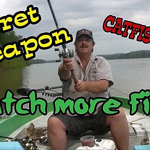 The secret to keeping Chicken livers on your hook: Catch more Channel Catfish