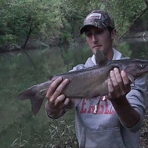 Night Fishing for Catfish 2012