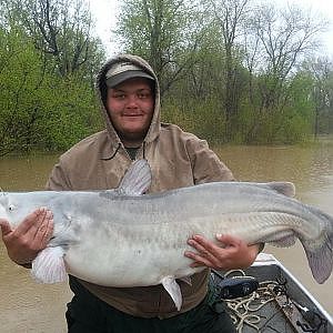 Releaseing Some Monster Blue Catfish