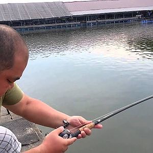 Abu Revo SX Reel !!!  Abu Conolon Rod  !!! Mekong Catfish !!! Fishing Thailand By BKKGUY