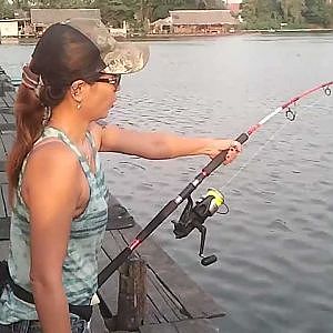 fishing @ Bungsamran Thailand 2/4/2556 The Mekong giant catfish.