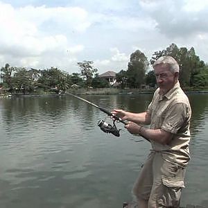 Mekong Catfish Bungsamran Lake