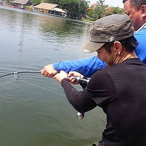 Giant Mekong Catfish !! Fishing Video !!! Thailand Fishing- BKKGUY