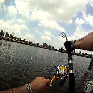 Mekong Catfish, Bungsamran, Bangkok June 2011 (GoPro HD R4 setting)