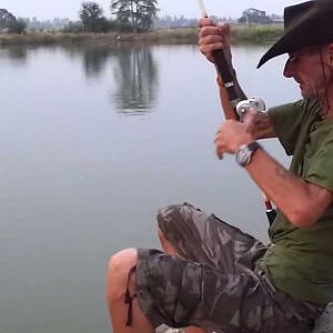 Mekong Catfish Thailand Fishing  35 min Straight line, a giant Mekong Catfish (pangasianodon gigas)