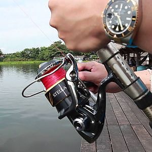 SHIMANO Stella 2013  8000 HG with 70 lb Mekong giant catfish