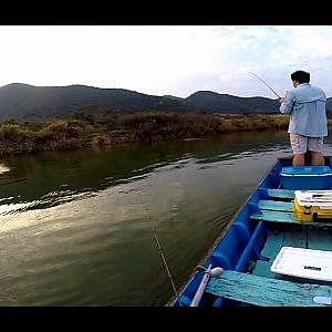 80KG  Mekong Catfish !!! Wild Snakehead Fishing Adventure with Bkk Fishing Tour- BKKGUY