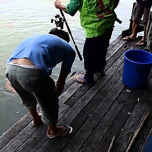 Fishing Guide vs Huge Mekong Giant Catfish(Pangasianodon gigas) @ Bungsamran Fishing Park