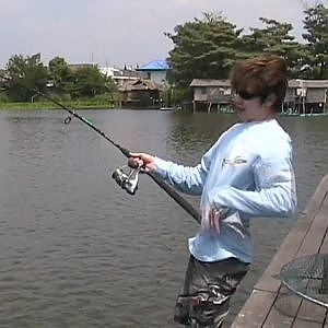 Mekong Catfish at Bung Sum Lan, Thailand