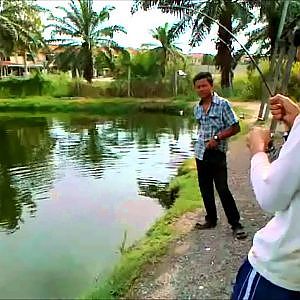 18 ekor patin mekong dalam masa 6 jam, terbaik !! Mekong Giant Catfish Catch and release.