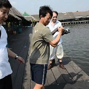 My Father vs 20+ kg Mekong Giant Catfish(Pangasianodon gigas) @ Bungsamran Fishing Park