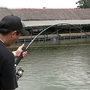 Bungsamran Mekong Cat Fishing!(Thailand)BKK