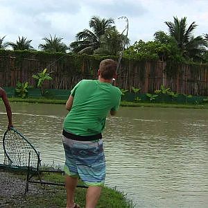 Mekong Catfish 50 Kg Thailand at Top Ctas Part 1/2