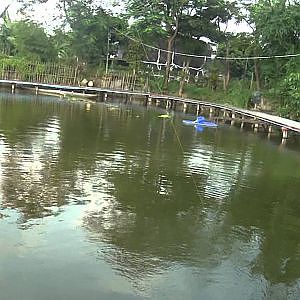 Giant Mekong Catfish Fishing Thailand By BKKGUY