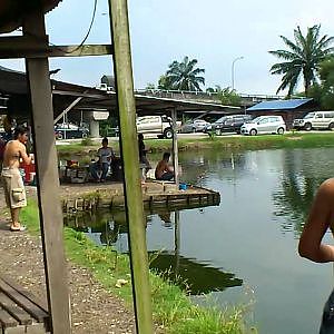 21/1/12 Bukit tambun mekong catfish pond.