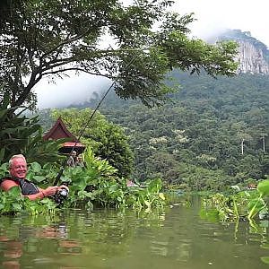 Mekong Catfish, Gillhams Fishing Resorts.