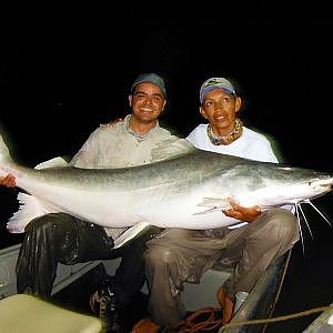 Piraiba Gigante Pega pela Nadadeira - 1,96m - Laulau Fishing #2