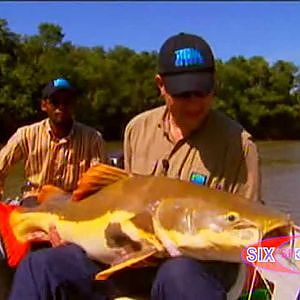 PIRAIBA GIGANTE -  RIO ARAGUAIA PARTE 1