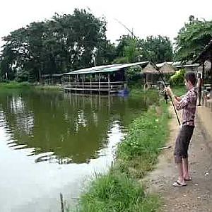 mekong wels angeln thailand 1