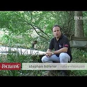 Angeln auf Wels im Herbst - von Stephan Höferer