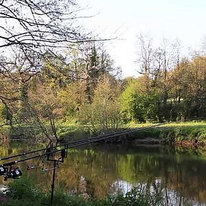 Megacarpe technnique de pêche de la carpe en petite rivière