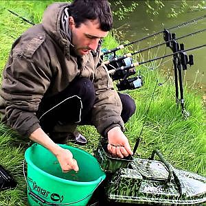 Peche de la carpe etang de la peupleraie