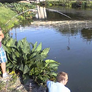 Pêche à la carpe au port de Montbéliard