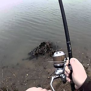 peche de la carpe avec Michael Mallet (South France : carpfishing)