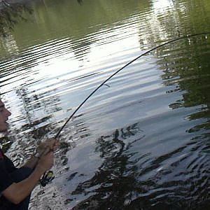 pesca de carpa gigante de 8 kilos