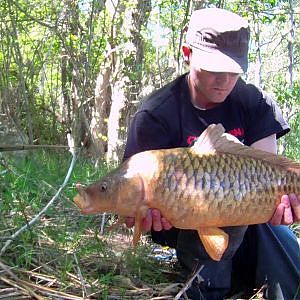 Pesca de carpa con corcho en directo