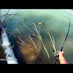 Pesca de carpa en rio con corriente a flotador y lombriz