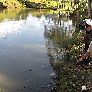 PESCA DE CARPA COLORIDA