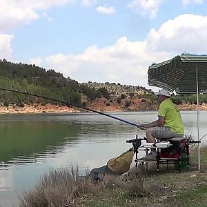 Pesca de carpas al Coup frente a Inglesa.