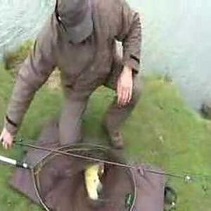 Tench from Aynho-Nellbridge fishery