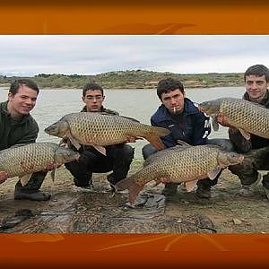 GRANDES CARPAS CARPFISHING ARANJUEZ