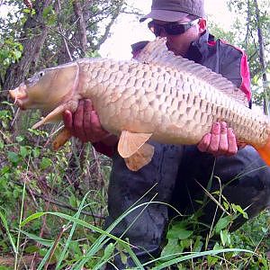 Pesca de carpa bajo la lluvia