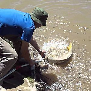 Pesca de carpa en el Gutierrez