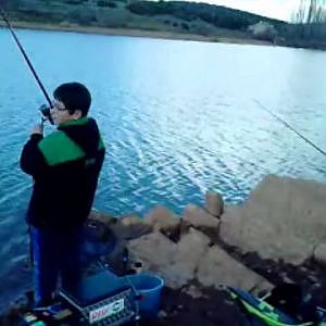 pesca de carpas en vallehermoso (feeder)