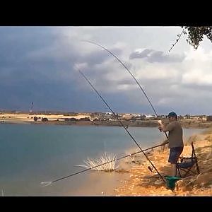 PICADAS de carpas pescando a inglesa