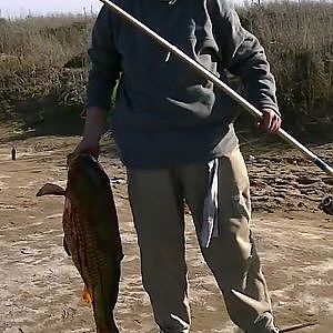 Carpa de 16 Kg, En Laguna Hinojo Grande