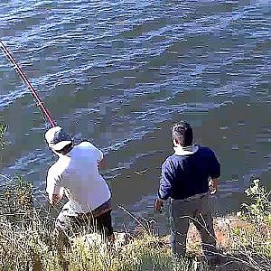 Pesca de carpas en dique los molinos!