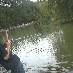 pesca de carpa gigante de 6 kilos