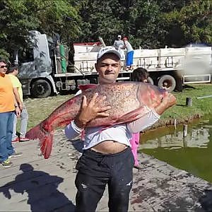 Soltura de Carpas Cabeçudas no Tio Oscar e Pesca em Família 22/07/2014