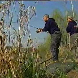 Pesca de la Carpa (Técnicas diversas de Carpfishing)