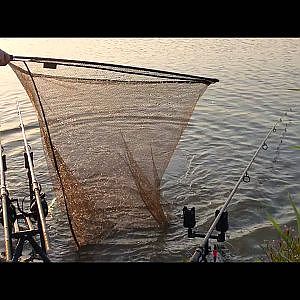 Karpervissen met 30+ Graden Celsius! - Met Dwfishingteam