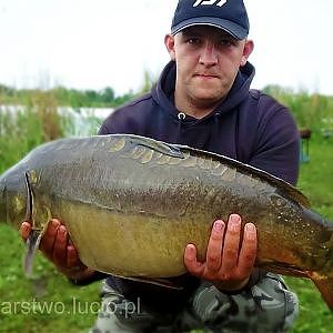 Cel: Karp z łowiska Zgoda - wędkarstwo karpiowe