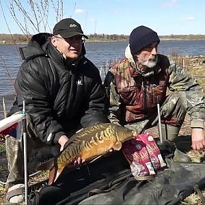 2 кубок Курской обл. по ловле карпа ( Carp Fishing ) c. Степановка 2013 г.