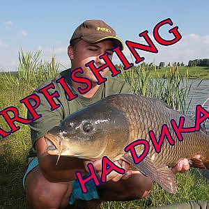 Ловля белого амура и карпа, carpfishing