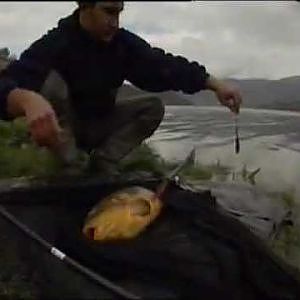 Pesca de la carpa en invierno (Carpfishing in winter)